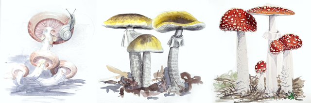 Painting Fungi with Alix and Shailee